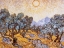 Picture of THE OLIVE TREES