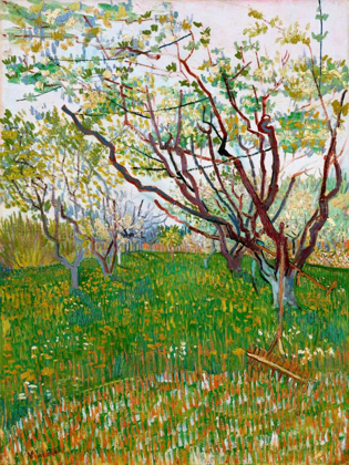 Picture of  THE FLOWERING ORCHARD