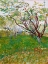 Picture of  THE FLOWERING ORCHARD