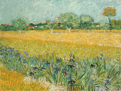 Picture of FIELD WITH IRISES NEAR ARLES
