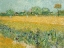 Picture of FIELD WITH IRISES NEAR ARLES