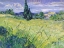 Picture of LANDSCAPE WITH GREEN CORN