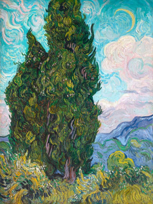 Picture of CYPRESSES