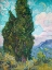 Picture of CYPRESSES