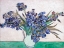 Picture of IRISES