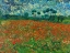 Picture of POPPY FIELD
