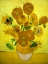 Picture of ZONNEBLOEMEN