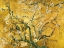 Picture of MANDORLO IN FIORE (GOLD VARIATION)