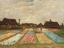 Picture of FLOWER BEDS IN HOLLAND