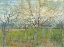 Picture of THE PINK ORCHARD