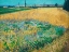 Picture of WHEATFIELD