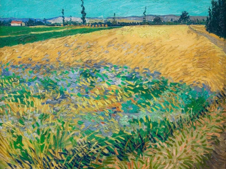 Picture of WHEATFIELD