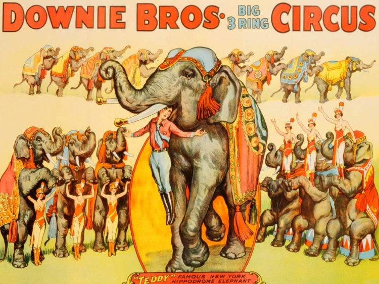 Picture of DOWNIE BROS. BIG 3 RING CIRCUS 1935