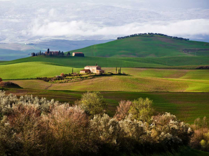 Picture of TUSCAN COUNTRYSIDE