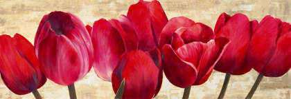 Picture of RED TULIPS