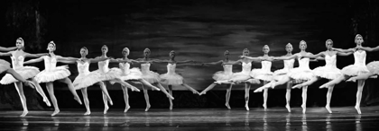 Picture of SWAN LAKE BALLET