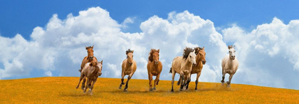 Picture of HERD OF WILD HORSES (DETAIL)