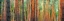 Picture of COLORS OF THE WOODS