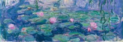 Picture of WATERLILIES