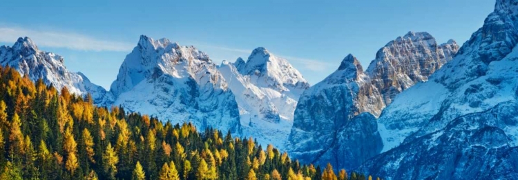 Picture of LARCH FOREST AND CIMA BEL PRA, ITALY