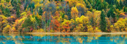 Picture of LAKE AND FOREST IN AUTUMN, CHINA