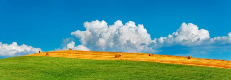 Picture of CORN FIELD HARVESTED, TUSCANY, ITALY