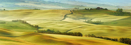 Picture of TUSCANY LANDSCAPE, VAL DORCIA, ITALY