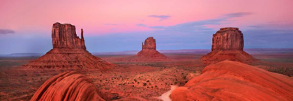 Picture of MITTENS IN MONUMENT VALLEY, ARIZONA