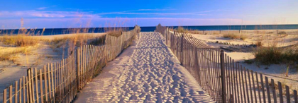 Picture of PATHWAY TO THE BEACH, FLORIDA, USA