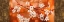 Picture of ORANGE SAKURA
