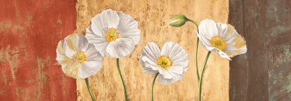 Picture of POPPIES ON SMOOTH BACKGROUND