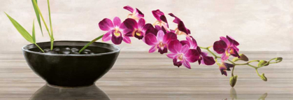 Picture of ORCHID ARRANGEMENT