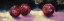 Picture of PLUMS