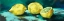 Picture of LEMONS