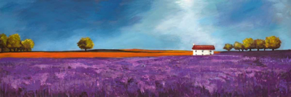 Picture of FIELD OF LAVENDER