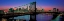 Picture of MANHATTAN BRIDGE AND SKYLINE