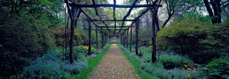 Picture of GARDEN PATH OLD WESTBURY GARDENS LONG ISLAND