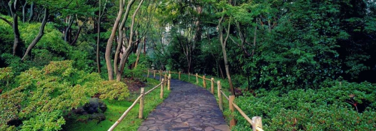 Picture of TEA GARDEN WALKWAY SAN FRANCISCO BOTANICAL GARDENS