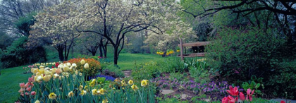 Picture of COUNTRY GARDEN OLD WESTBURY GARDENS LONG ISLAND