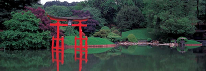 Picture of JAPANESE GARDEN