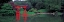 Picture of JAPANESE GARDEN