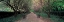 Picture of THROUGH CONSERVATORY GARDEN CENTRAL PARK NYC