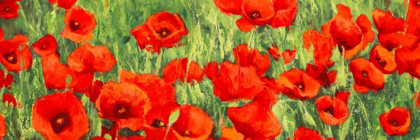 Picture of POPPY FIELD