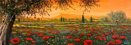 Picture of PIANURA IN FIORE