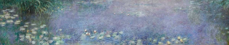 Picture of THE WATER LILIES - MORNING