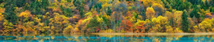 Picture of LAKE AND FOREST IN AUTUMN, CHINA