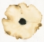 Picture of SUEDE FLEUR I