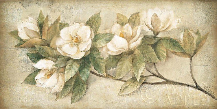 Picture of SUGAR MAGNOLIA VINTAGE