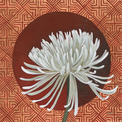 Picture of MORNING CHRYSANTHEMUM III