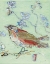 Picture of SEA FOAM BIRD